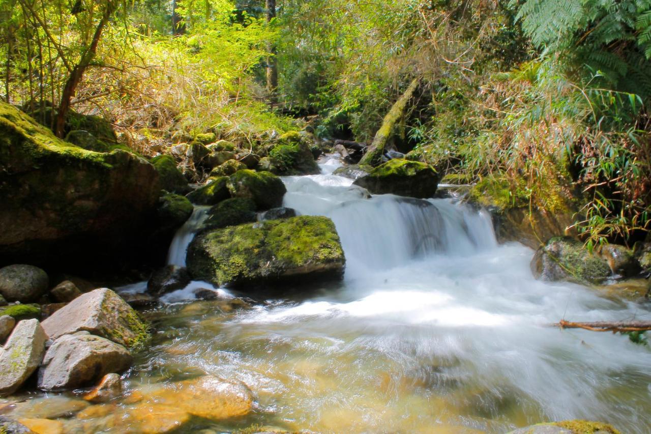 Hotel Natura Peulla Dış mekan fotoğraf