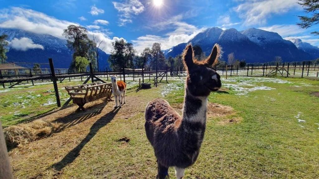 Hotel Natura Peulla Dış mekan fotoğraf